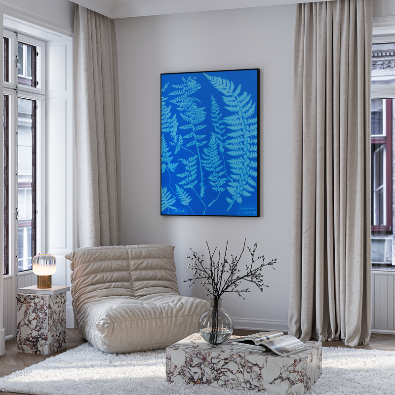 Anna Atkins, Ferns, Specimen of Cyanotype, 1840, Framed