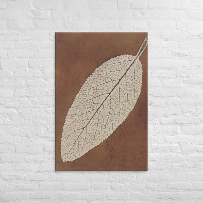William Henry Fox Talbot, Leaf Study, 1839, Canvas