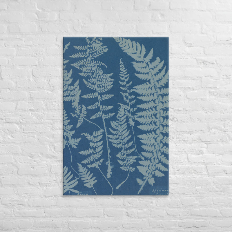 Anna Atkins, Ferns, Specimen of Cyanotype, 1840, Canvas
