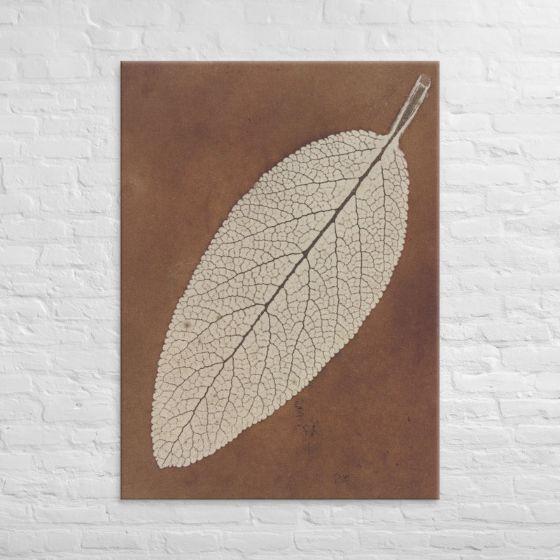 William Henry Fox Talbot, Leaf Study, 1839, Canvas