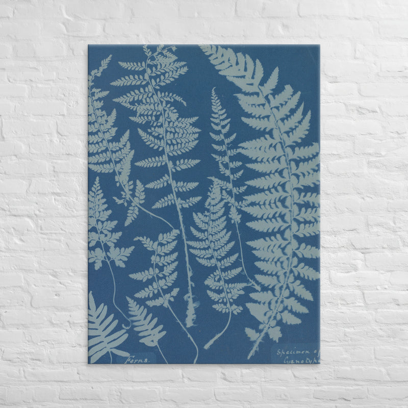 Anna Atkins, Ferns, Specimen of Cyanotype, 1840, Canvas