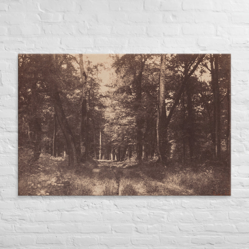 Gustave Le Gray, Bas Breau, Forest of Fontainebleau, 1852, Canvas