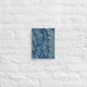 Anna Atkins, Ferns, Specimen of Cyanotype, 1840, Canvas