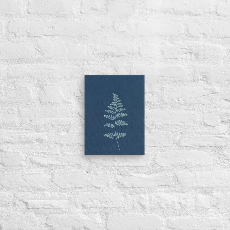Anna Atkins, Hothocleana, 1850, Canvas