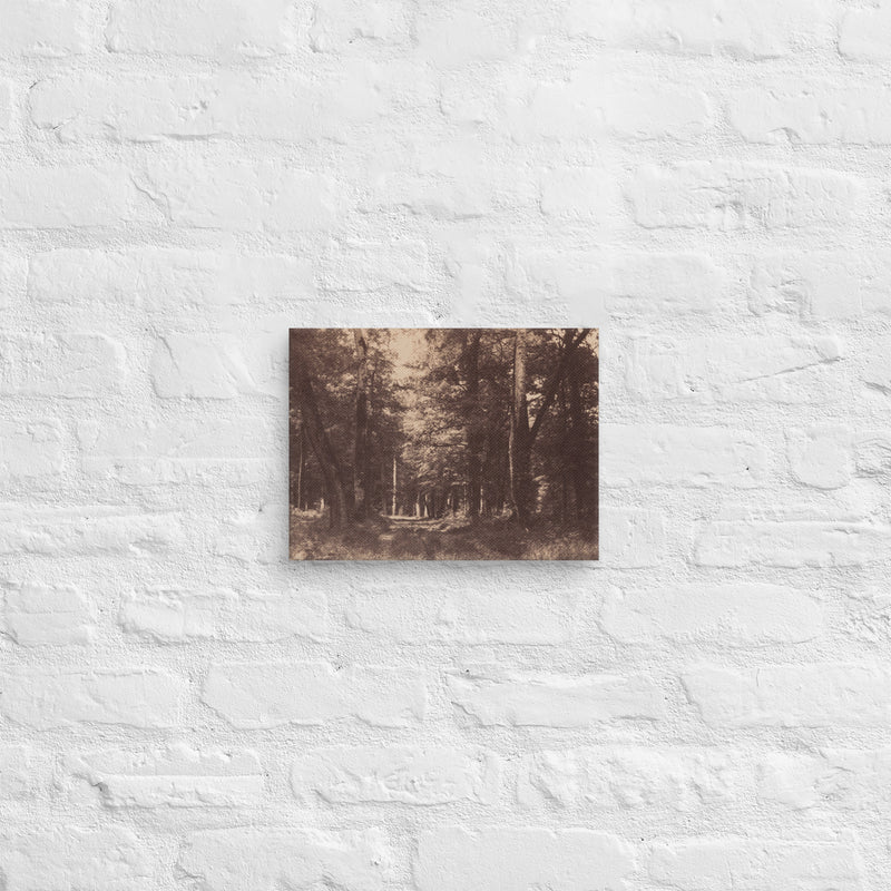 Gustave Le Gray, Bas Breau, Forest of Fontainebleau, 1852, Canvas