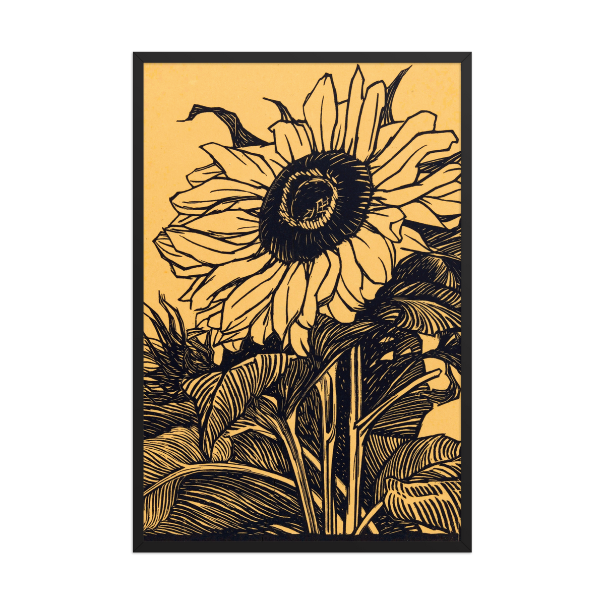 Julie de Graag, Zonnebloem, Framed