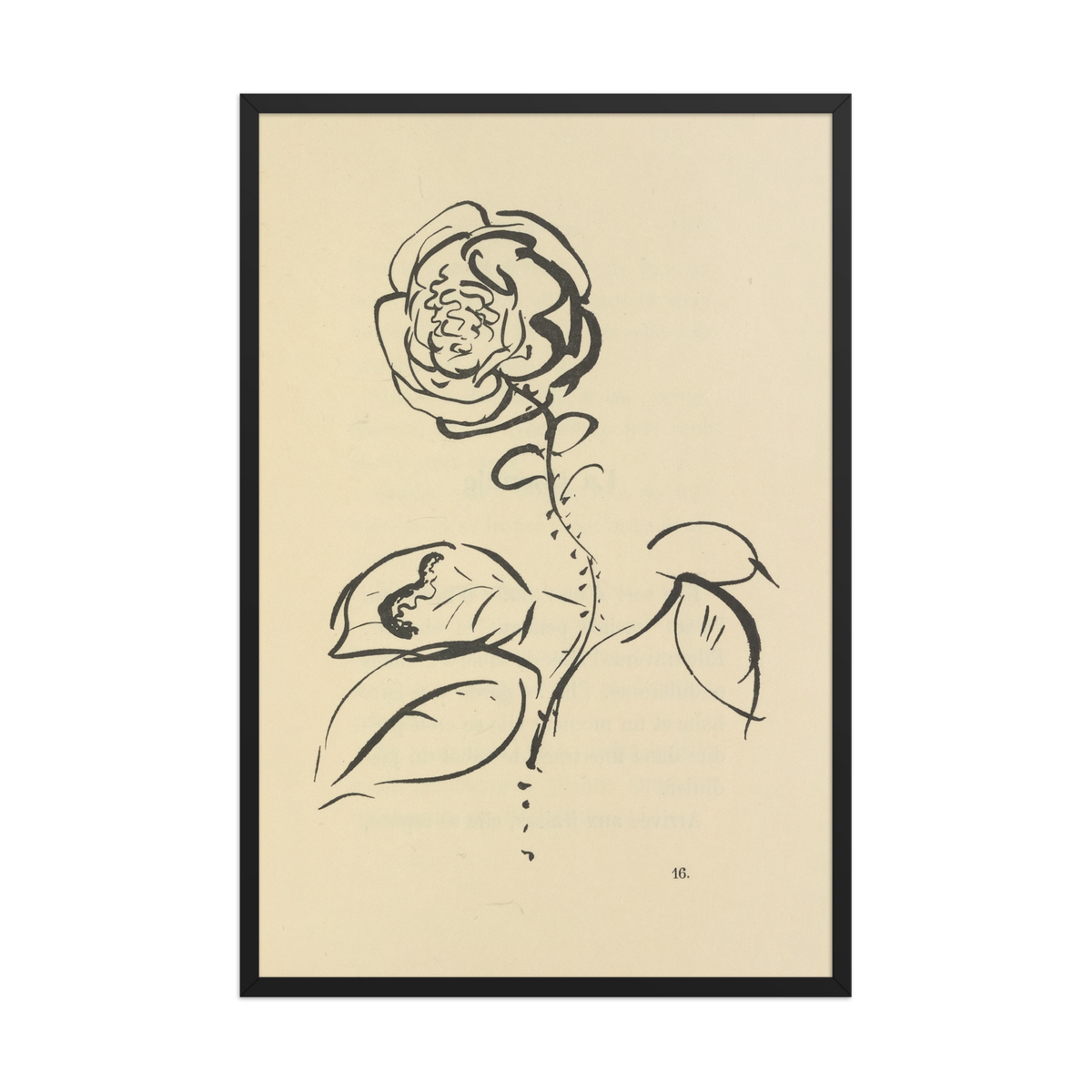 Pierre Bonnard, Histoires Naturelles P.36, 1922
